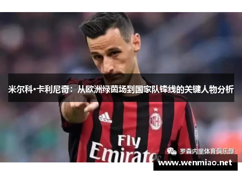 米尔科·卡利尼奇：从欧洲绿茵场到国家队锋线的关键人物分析