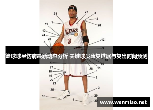 篮球球星伤病最新动态分析 关键球员康复进展与复出时间预测
