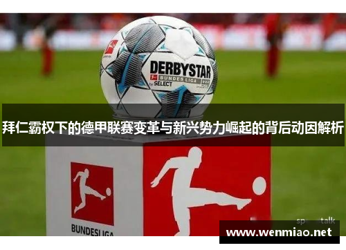 拜仁霸权下的德甲联赛变革与新兴势力崛起的背后动因解析