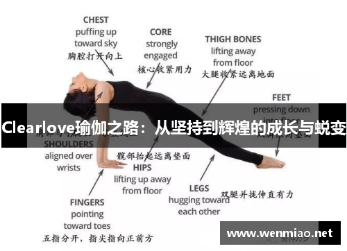 Clearlove瑜伽之路：从坚持到辉煌的成长与蜕变