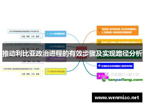 推动利比亚政治进程的有效步骤及实现路径分析