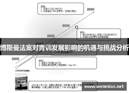 博斯曼法案对青训发展影响的机遇与挑战分析