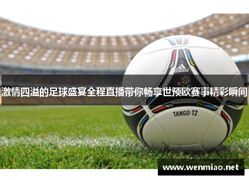 激情四溢的足球盛宴全程直播带你畅享世预欧赛事精彩瞬间