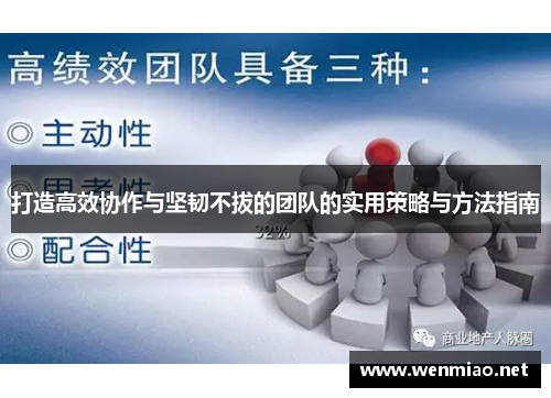 打造高效协作与坚韧不拔的团队的实用策略与方法指南