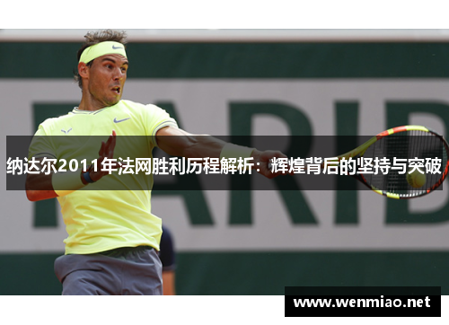 纳达尔2011年法网胜利历程解析：辉煌背后的坚持与突破