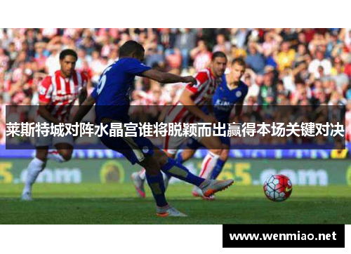 莱斯特城对阵水晶宫谁将脱颖而出赢得本场关键对决