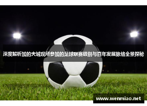 深度解析加的夫城现所参加的足球联赛级别与百年发展脉络全景探秘 深度解析加的夫城现所参加的足球联赛级别与百年发展脉络全景探秘